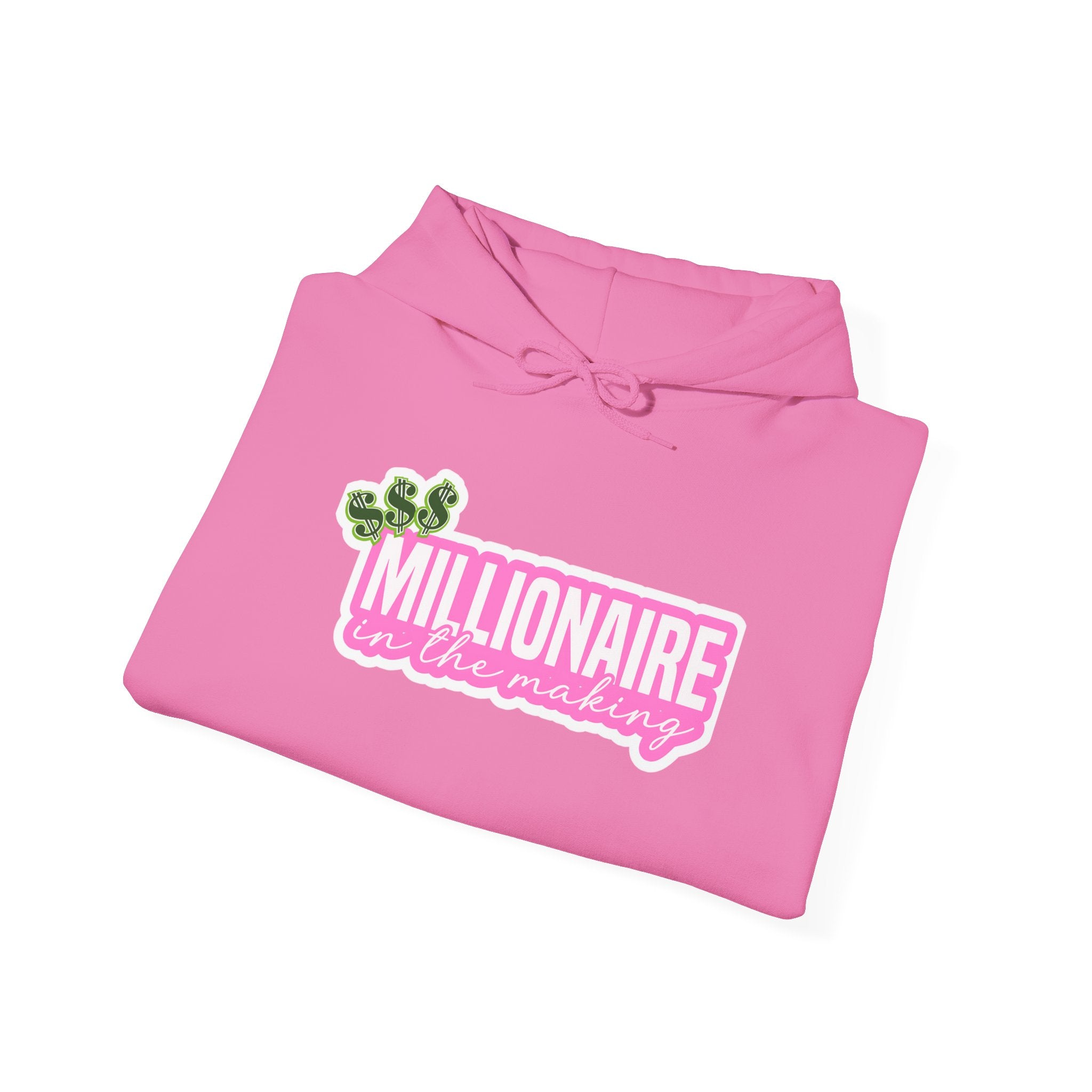 Millionaire in the Making Entrepreneur Motivational Apparel - Hooded Sweatshirt