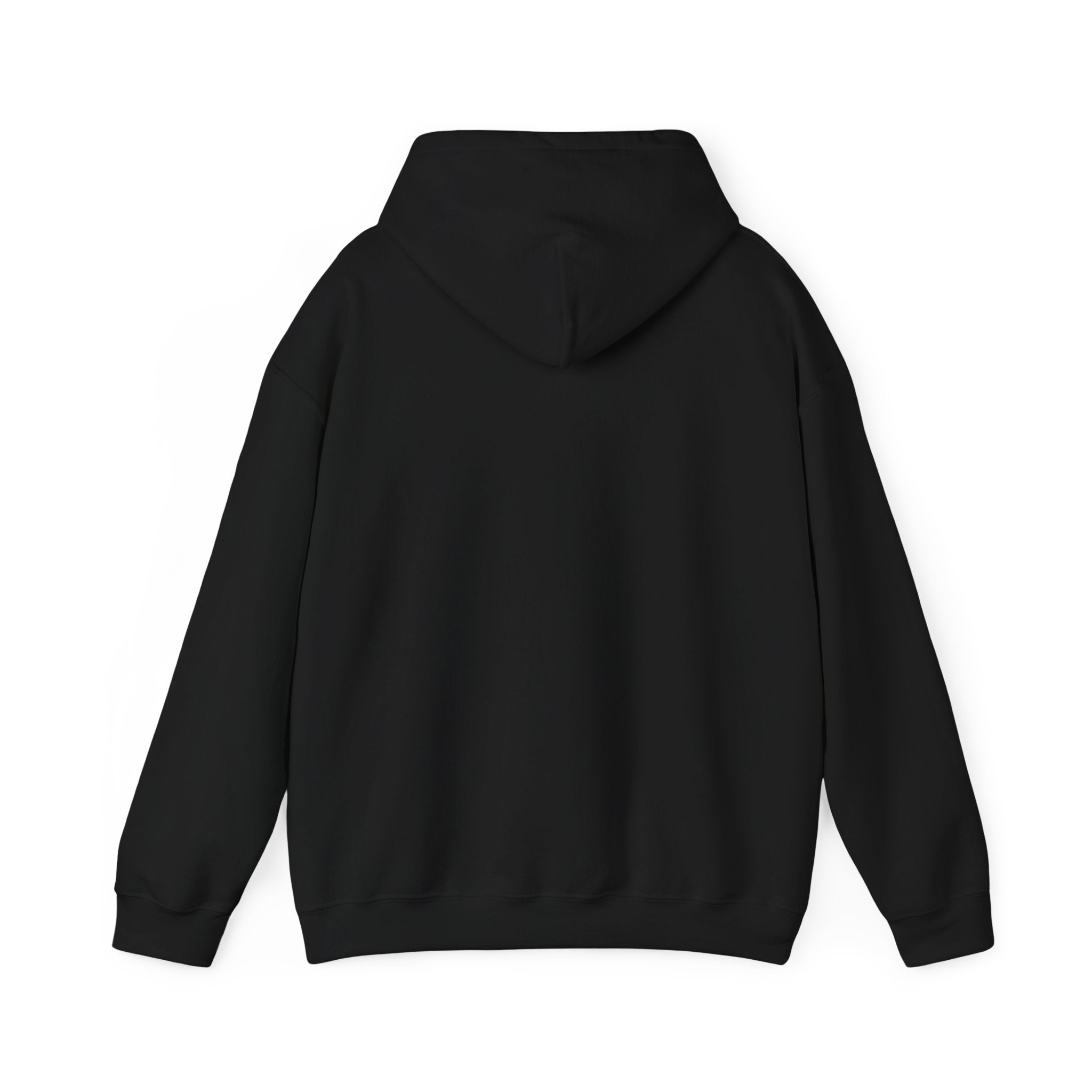 Black 365 Pride Hoodie — BLCK Graphic with Africa Outline